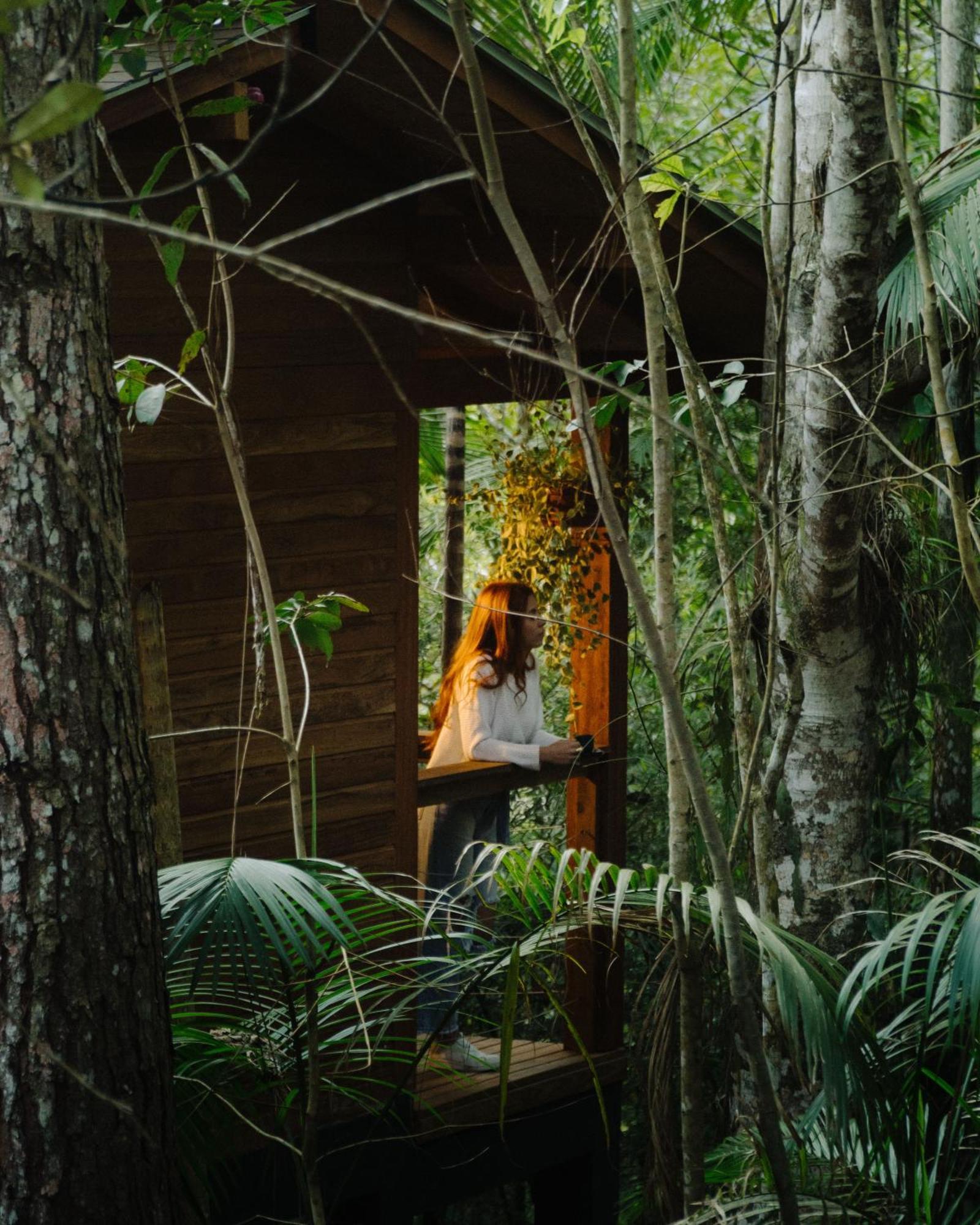 Cabana Equipada Em Meio A Natureza Em بوميرودي المظهر الخارجي الصورة